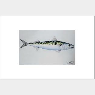 The Mackerel Posters and Art
